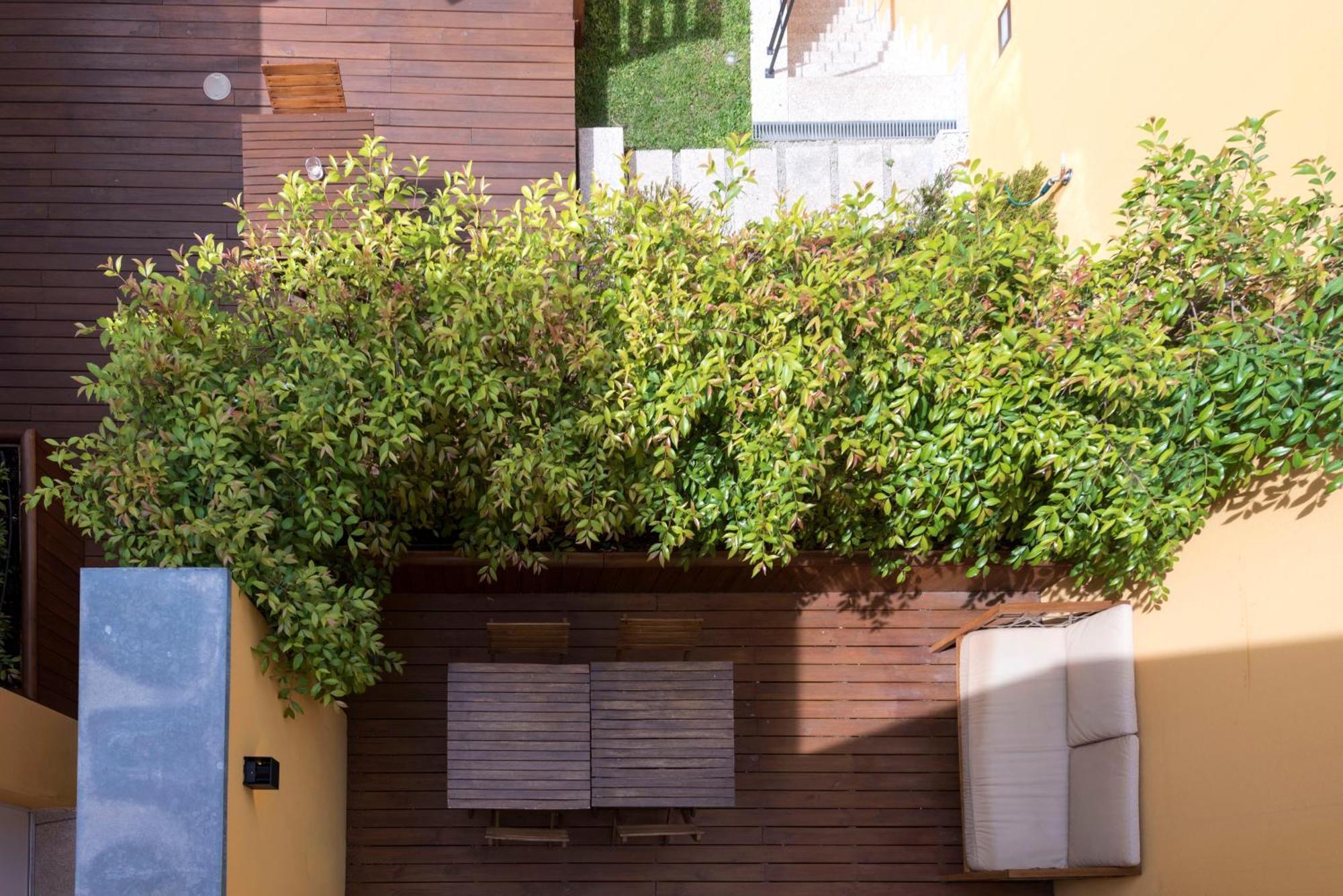 Bloom House By Sweet Porto Appartement Kamer foto